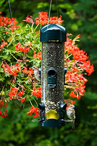Brome Mega 600 Bird Feeder – Large Capacity Tube Feeder for Wild Birds, 6 Feeding Ports, 4 lb Seed Capacity, Easy to Clean, Metal Ports, Extendable Perches | Six metal ports, extendable perches, easy cleaning