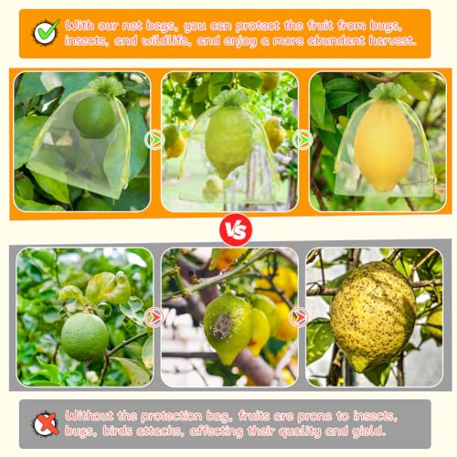 Shintop100Pcs Fruit Protection Bags, 5x7inch Green Strawberry Net Cover | Drawstring Mesh Bags, Fine Mesh Bird/Insect Barrier, Breathable Organza, Gentle on Delicate Stems, Fits Blueberries and Figs - size: 5x7 inch