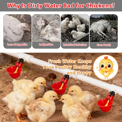 6 Packs Chicken Waterer Cups with PVC Tee Fittings, 1/8 Inch FTP Threads | Keep Clean Water, Automatic Poultry Feeder Cups Water Feeder for for DIY 1/2" Pipe System Chicks, Duck, Goose, Quail