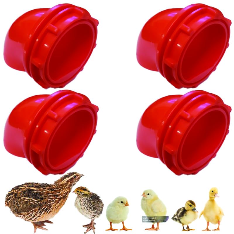 Quail & Chick Port Feeder by NWQuailFarm NO Waste Feed Saver for DIY Bucket Pail Bin Container Coturnix (4 Pack) Red
