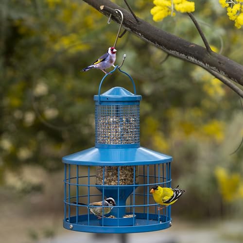 Caged Bird Feeders Squirrel-Proof, Metal, 2.8 Lbs Capacity-Cage Tube Seed Feeders with Tray Outdoor Hanging, Attract Birds,Detachable Cleaning, Starling Proof Wild Bird Feeder（Blue） - color: Blue