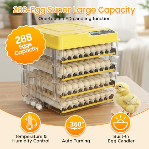 Egg Incubator - 2026 New Egg Incubator with Automatic Egg Turning and Humidity Control,Large Poultry Hatcher for Chickens Birds Ducks (288 Eggs)