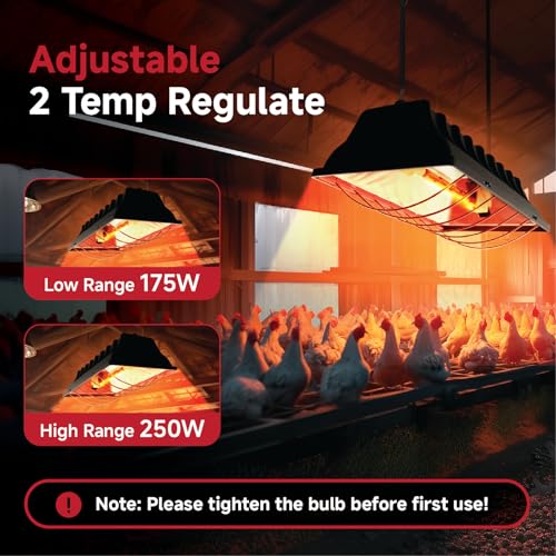 250W Chicken Coop Heater for Winter Chicks Ducks, Chicken Brooder Heater Lamp w/ 2 Heating Mode & Adjustable Hanging Height for Livestock Pet Inside Outdoor Lamp (250W-Black)