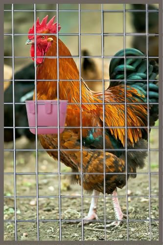10 Pack Cage Cups Birds Feeders Seed Bowl Chicken Feeding Watering Dish Rabbit Water Food Hanging Wire Cages Box 8oz Coop Cups for Pet Parrot Parakeet Gamefowl Poultry Pigeon (Pink) - size: 10PCS Pink