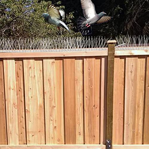 Bird Spikes Cover 21.6Feet Stainless Steel Pigeons Spikes Small Bird Spike for Roof Fence Window Mailbox(20pcs) | Easy to install, with zip ties - size: 21.7Feet(20pcs)