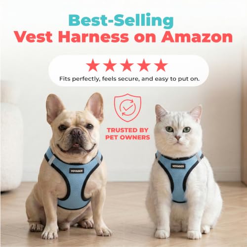 Voyager Step-in Air Dog Vest Harness - Baby Blue/Black Trim, X-Small | 13 - 14.5" in Chest, Reflective Bands, All Weather Breathable Air Mesh, Cats Compatible, Lightweight, Fast Drying - color: Harness (Baby Blue/Black Trim), size: XS (Chest: 13 - 14.5")