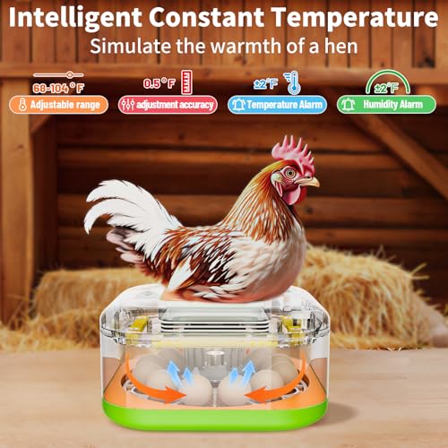 Incubator for Hatching Eggs, Temperature and Humidity Control, Automatic and Adjustable Egg Turning & Incubation Day, Built-in Egg Candler, 12 Egg Incubator for Hatching Chicken, Duck, Turkey, Bird