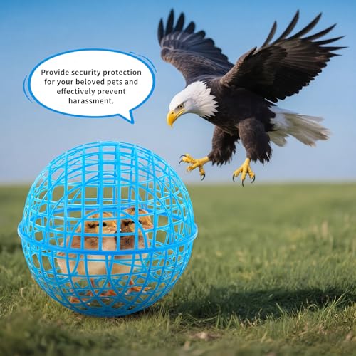 AceOrbit 3 Pack Rolling Chicken Ball Cage, 2026 Mobile Mesh Poultry Coop Ball for Free Range, Safety Globe Hutch for Chicks, Ducklings & Small Pets Outdoor Exercise and Roaming(11.02 Inch,Blue) - color: blue, size: 11.02 Inch