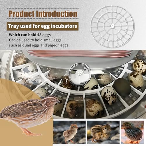 Quail/Bird Egg Turner Tray Compatible with Nurture Right 360 Incubator Tray | Quail Birds Egg Turner Tray, 48 Slot Small Egg Rotating Tray -Egg Turning Rack Easy Use, Vanshly
