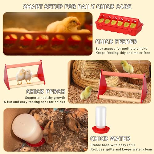 Upgrade Chick Starter Kit, 6-in-1 Chicken Brooder Box for Chicks Includes Pop-Up Chicken Playpen Tent,12 * 12" Heat Brooder Plate, Chicks Feeder, Waterer, Perch & Nesting Pad for Poultry Ducks Quail