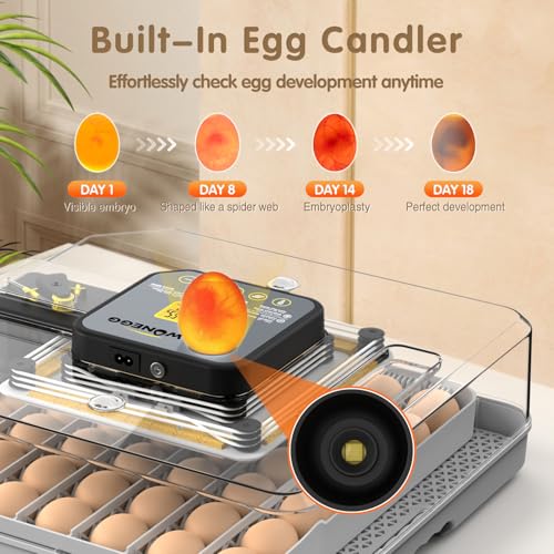 Incubators for Hatching Eggs Egg Incubator for Lab Home Farm with Automatic Egg Turning for Chicken, Ducks, Goose, Quail 48 Eggs - size: 48 eggs