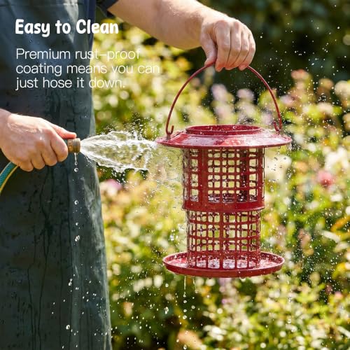 KOL Metal Suet Ball Feeder for Birds – Single-Layer Expandable Design Suet Bird Feeder, Heavy-Duty Wild Bird Feeder with Secure Lid, Large Capacity for Backyard (Red) - color: Red