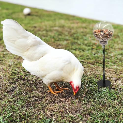 Oooct 2 Pack Chicken Peck Toy - Chicken Enrichment Toys with Swing Feeder & Slow Feeder for Hens, Ducks, Parrots - size: 2 Pack
