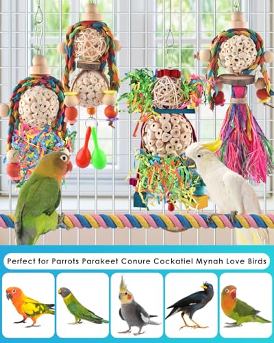 Bissap Conure Toys, 5 PCS Bird Foraging Shredder Hanging Swing Rope Perch Toys Sola Balls with Sand Hammer for Small Parrots Parakeets Conures Cockatiels Love Birds Cage Toy - size: 5 PCS