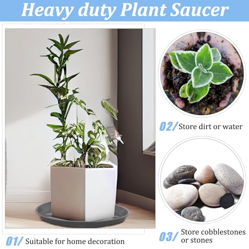 Eccliy 6 Pack Plastic Plant Saucer Heavy Duty Planter Saucers Large Plant Pot Saucers Plastic Water Trays for Indoors and Outdoors Flower Plant Plant Drip (Gray,20 Inch) - color: Gray, size: 20 Inch, style: Round