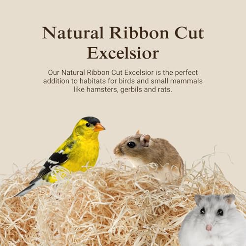 Aspen Wood Excelsior, Ribbon Cut, Small 1-Pack | Natural Aspen Wood Excelsior for Crafts & Animal Bedding, Cages, Soft & Absorbent, Dye-Free, Family Owned, USA Made - size: Small 1-pack, style: Ribbon Cut