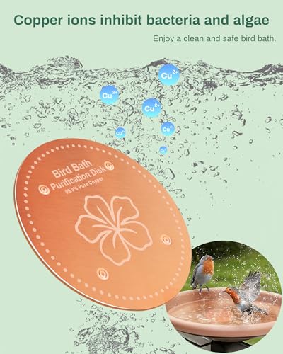 OICEME Bird Bath Purification Disk Pure Copper Outside Winter Solar Power Birdbath Wild Hummingbird Pedestal Fountain Cleaner Humming Feeder Cage Dispenser Heater Ground Safe Garden Lover Women Gift - color: Copper Flower