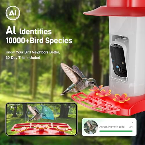 Hummingbird Feeder with Camera Outdoor, Solar Powered Hanging Bird Feeder | Ant Moat & Bee-Proof, AI Bird ID, HD 2K, Instant App Alerts, Auto Capture, Garden Gift for Hummingbird Lover & Mom Dad, 21oz - color: Red