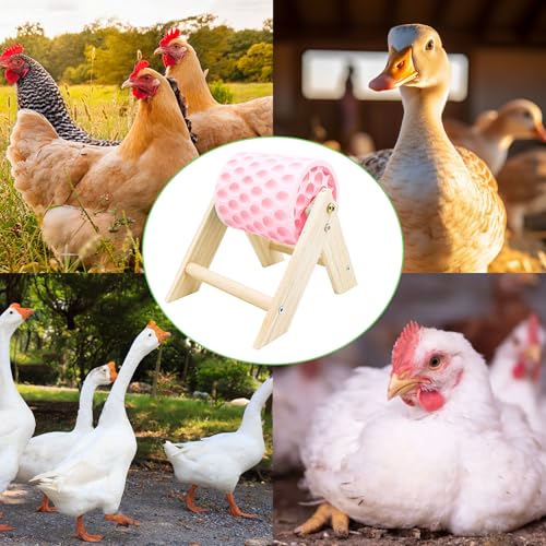 Chicken Coop Accessories, Beak Grinding Calcium Stone with Wooden Stand, Chicken Enrichment Toys, Toys for Hens, Ducks, Geese, Turkeys, Poultry, Pink - color: Pink
