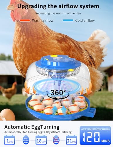 18-Egg 360° Panoramic Egg Incubator with Automatic Egg Turning and Humidity Control- Perfect for Hatching Chickens, Ducks, Quail & Other Birds (Blue)