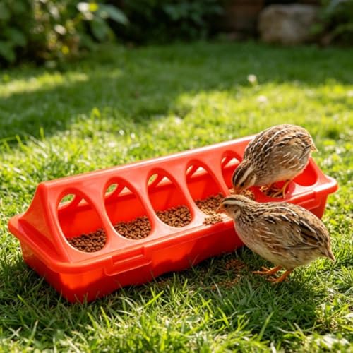 Automatic Chicken Feeder and Water Dispenser – 12-Hole No-Waste Feed Box for Chicks Quails Pigeons, Plastic Small Poultry Feeder with Locking Design, Bird Cage Accessories, 7.9×3.5×2.6 Inch