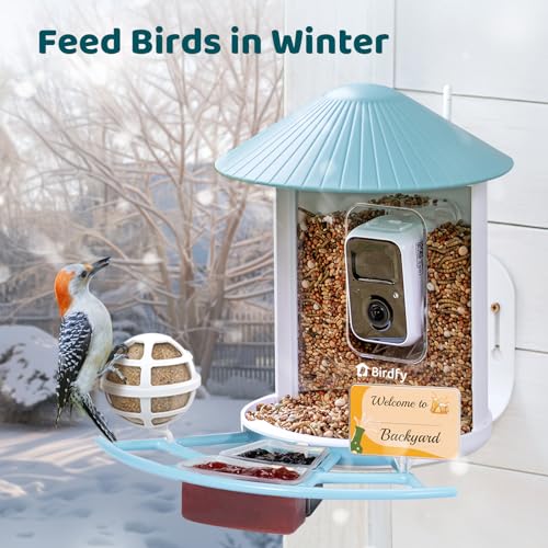 NETVUE by Birdfy Pro Perch - Wider Extension Perch to DIY Add-ons Including Suet Ball, Mini Hummingbird Feeder, Fruit Holder, Jelly Feeder and Welcome Card, Ideal for Bird Lover (Blue) - color: Blue