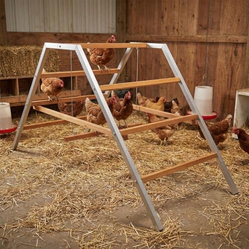 Chicken Roosting Bars for Coop Accessories, Chicken Perches with Swing for 10-12 Chickens, Wooden Chicken Ladder for Pet's Healthy & Happy, Easy to Assemble and Clean | for 10-12 Chickens, Wooden Chicken Ladder for Pet's Healthy & Happy, Easy to Assemble