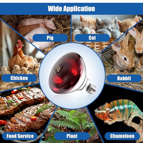 250W Heat Lamp Bulbs 1 Pack Infrared Heat Lamp for Chickens with E26 Socket and 5000 Hours Lifespan Heat Light Bulb for Pets Chicks Reptile Food Service Brooder Coop - size: 1 Pack