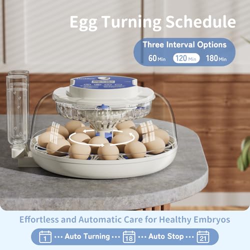 18 Egg Incubators for Hatching Eggs, Incubation Day Display, 2 Egg Trays, Automatic Egg Turning, Built-in Egg Candler, Auto Refill, Adjustable Air Vent, for Chicken, Quail, Duck, Turkey & Goose Eggs