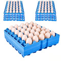 12 Pack Plastic Egg Tray 30 Cell Egg Crates Egg Flats Stackable Egg Carton for Home, Chicken Farmers, Storing, Sorting, and Shipping Eggs, Holds Multiple Eggs (Blue)
