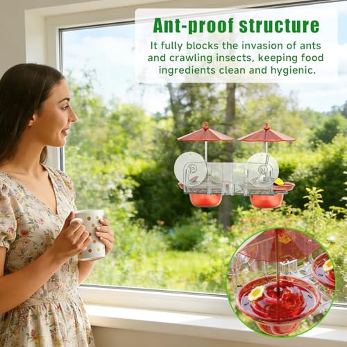 Window Hummingbird Feeder with Strong Suction Cups, Small Hummingbird Feeder for Window with Ant Moat, Bee-Proof Feeding Ports & Sun Shades, Easy to Refill and Clean for Up-Close Viewing Bird