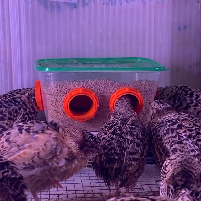 Quail & Chick Port Feeder by NWQuailFarm NO Waste Feed Saver for DIY Bucket Pail Bin Container Coturnix (4 Pack) Red