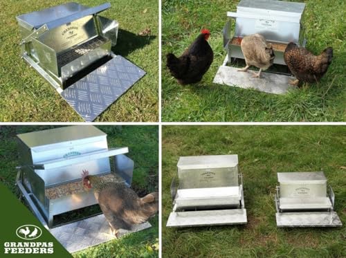 Grandpas Feeders Automatic Chicken Feeder - 40 lbs No Waste Poultry Feeder, Rat Proof & Rodent Proof Treadle Chicken Feeder, Galvanized Steel with Lid, Feeds 6-12 Chickens up to 10 Days - size: Large