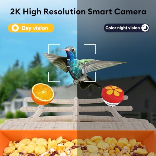 Bird Feeder with Camera Solar Powered, Smart Birds Feeder for Outside, AI Bird Identification Auto Capture Videos Pictures, 2K Live Feed Cam for Backyard, Ideal Gift for Birds Lover - color: light brown