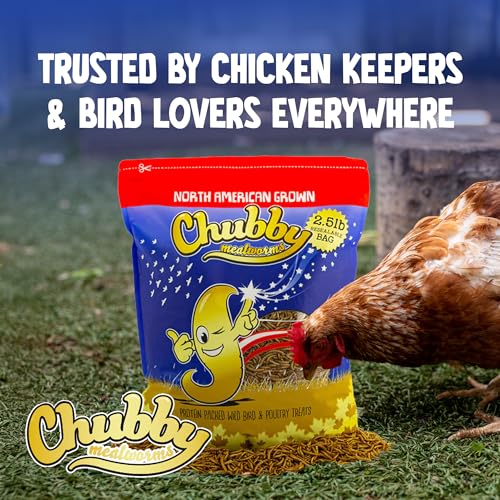 Chubby North American Grown Dried Mealworms, 20 lbs | Non-GMO High-Protein Treats for Chickens, Ducks & Wild Birds – Sustainable Chicken Feed - size: 20 Pound (Pack of 2)