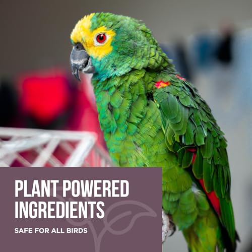 Natural Rapport Bird Cage Cleaner, Plant-Based Poop Remover, 2pk 32 oz | Plant-based enzymes & probiotics, no harsh chemicals - Removes bird waste & odor - For all bird owners - size: 32 Ounce (Pack of 2)