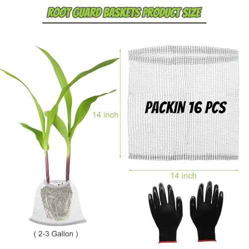 16 Pcs Gopher Baskets 3 Gallon Root Guard Proof Stainless Wire Steel Trap | 10" X 14" Mesh Cage with Gloves Root Protection for Gophers Moles Voles, Bulbs Tubers Trees Orchid Flowers Planting Baskets - size: 14"X14"-16 Pack