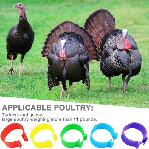 100Pcs 25mm Extra Large Turkey Leg Bands Goose Leg Bands Poultry Identification Leg Bands Rings 8/16/20/25mm - size: 25mm - 100Pcs