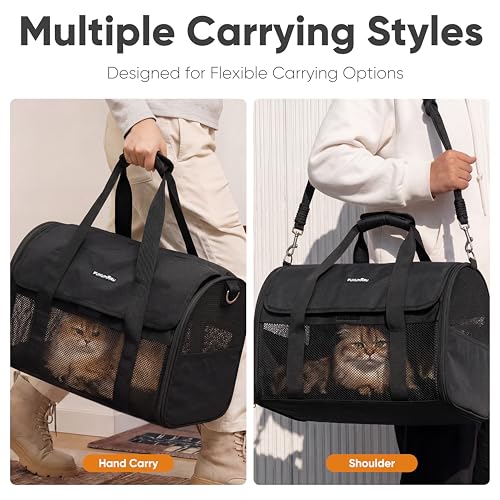 FUKUMARU Cat Carrier Soft, Ultra Lightweight Airline Approved Dog Carrier | Kitten Carrier with Anti-Scratch Mesh, Breathable Small Dog Carrier Bag, Collapsible Pet Carrier for Cats Under 15 lb, Black - color: Black