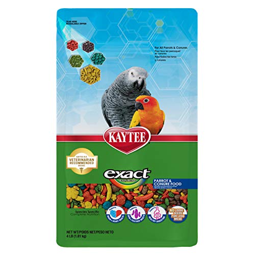 Kaytee Exact Rainbow Pet Parrot & Conure Food, 4 Pound - size: 4 Pound (Pack of 1)