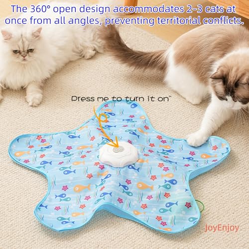 Hide and Seek Interactive Cat Toys, Puzzle Motion Activated for Indoor Cats | Cat Enrichment & Stimulating, Electronic Design, Moving toy play mat, USB & Battery Powered, 5-Hole, Multi-Cat, Bird Sound - color: Graffiti Cover