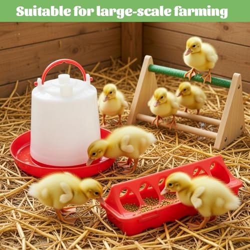 14 Pcs Chick Feeder and Waterer Kit with Wooden Perch Baby Poultry Starter Set 1.5 L Feeding Dispenser for Small Poultry Ducks Quail Pigeon Coop and Brooder(White) - color: White