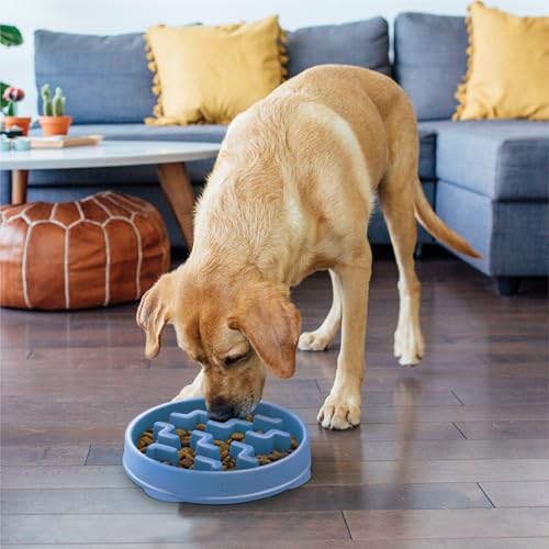Outward Hound Fun Feeder Slo Bowl – Large 4‑Cup Capacity, Slow Feeding, Medium to Large Dogs, Non‑Slip, Blue, Notch Pattern - color: Blue, size: Large