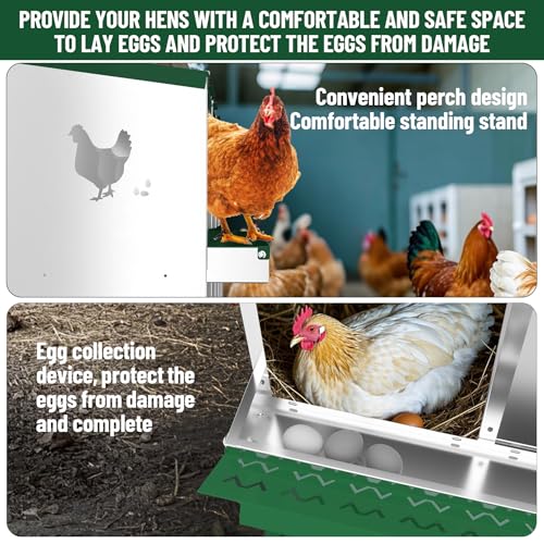 Garvee 10-Compartment Metal Chicken Nesting Box, Rustproof Galvanized Steel with Ventilated Holes, Removable Trays & Sturdy Bracket Legs, Easy Egg Collection - Green - color: Green, size: 10 Compartments