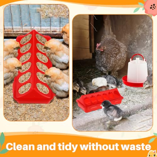 Funnymoom 12 Pack Chicken Feeder and Waterer Set Bird Small Poultry Feeder Flip Top Bird Small Poultry Feeding for Pigeon Chick Drinker Duckling Quail Feeding Dispenser(Red,6 Holes) - color: Red, style: 6 Holes