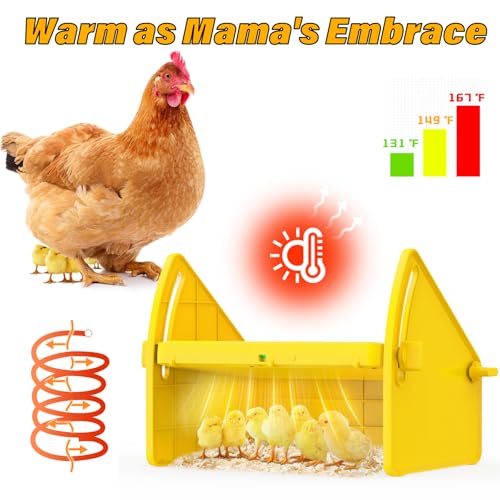 Chick Brooder Heater Plate for Baby Chicks, Ducklings & Poultry | 3-Level Adjustable Temperature Heating Plate, 8.67 x 10.63 Inches, Yellow Poultry Brooder Warmer - color: Yellow, size: 8.7"L x 9.8"W x 13.0"H