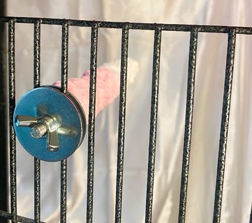 Polly's Edible Cuttlebone Calcium Bird Cage Perch for Budgies, Parakeets, Amazons, Blue & Golds, Macaws and Cockatoos.… (Strawberry, Medium) - color: Strawberry, size: Medium