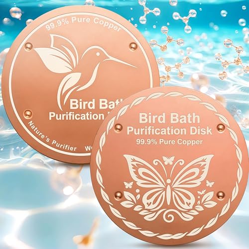 OICEME Bird Bath Purification Disk Pure Copper Outside Solar Power Women Wild Hanging Bowl Metal Hummingbird Cleaner Pedestal Outdoor Feeder Warmer Humming Cage Dispenser Gifts - color: Gold 2 PCS Bird&Butterfly