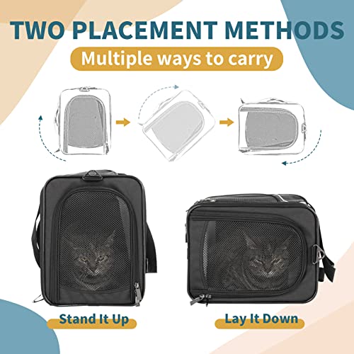 Petsfit Two-Way Placement Pet Carrier Airline Approved, Cat Carriers for Kittens, Puppies,Rabbit,Hamsters, Washable,Black - color: Black, size: 19.0"L x 9.5"W x 12.0"H