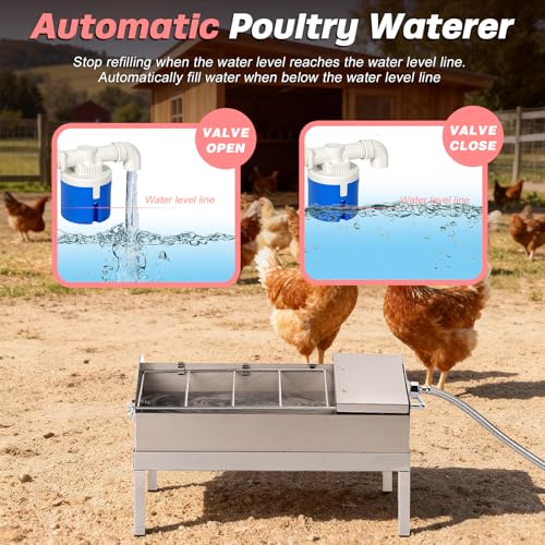 2 in 1 Automatic Chicken Waterer and Feeder | Stainless Steel Chicken Water Feeder With Float Valve, Poultry Water Dispenser for Duck Turkey Quail Pigeon, Easy to Clean